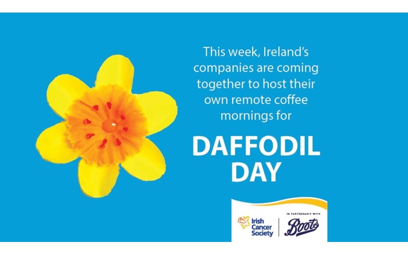 Daffodil Day Virtual Justgiving [ 508 x 812 Pixel ]