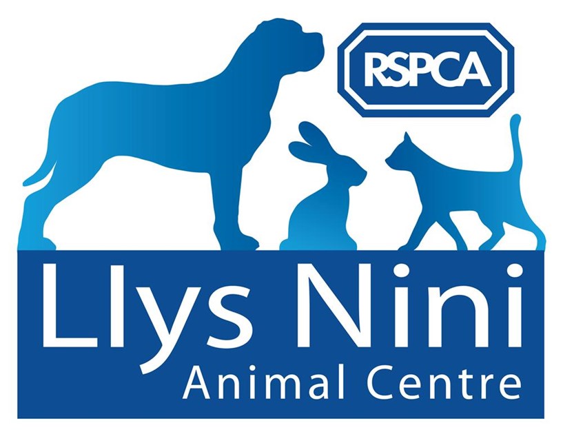 Emma Haynes is fundraising for LLYS NINI ANIMAL CENTRE