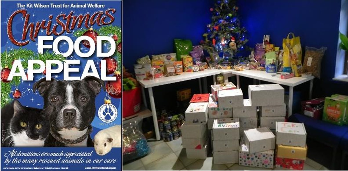 Kit Wilson Trust for Animal Welfare is fundraising for The Kit Wilson