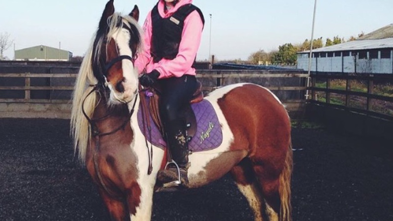 Help raise £2500 to Help those who lost their beloved Horses in the Elmwood Equestrian Centre fire last night.