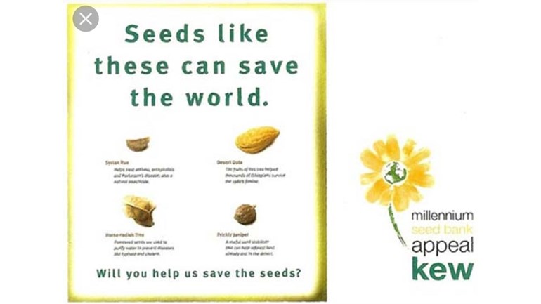 Vanessa Lewisohn Is Fundraising For Royal Botanic Gardens Kew