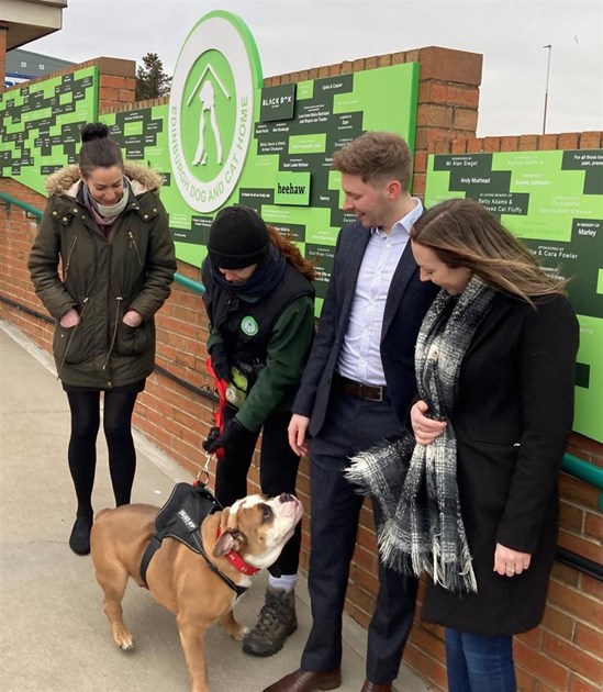 Cullen Property is fundraising for Edinburgh Dog and Cat Home