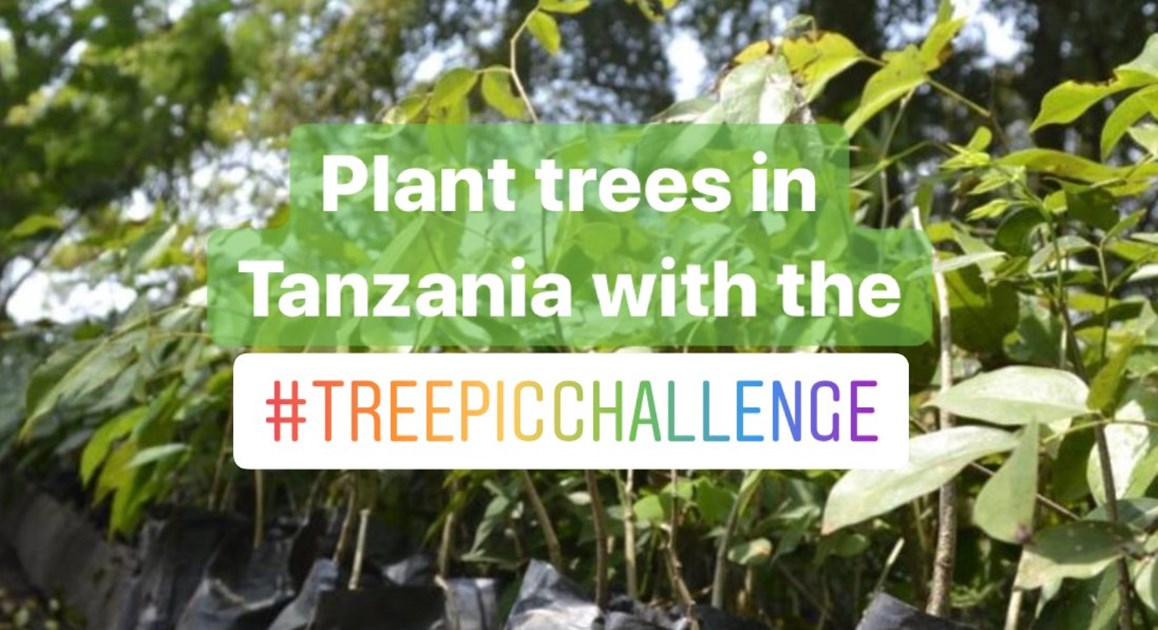 Green Light Ventures is fundraising for Greenstand