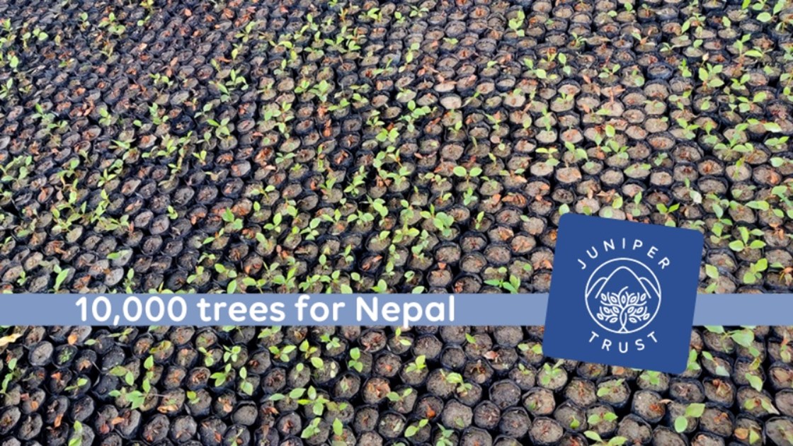 10,000 Fruit Trees for Nepal - JustGiving