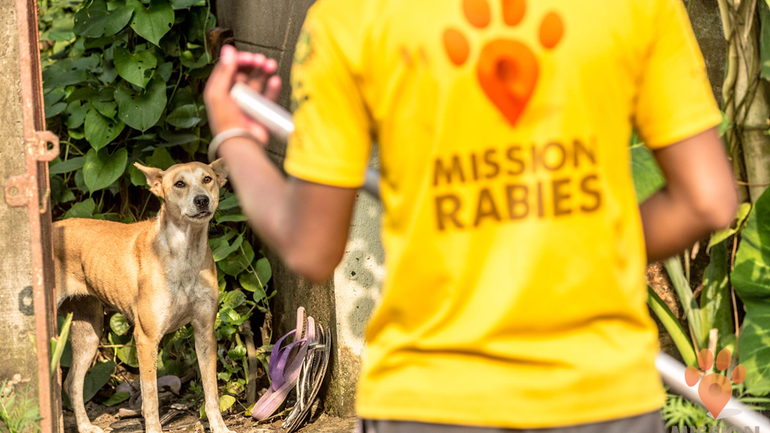 Alexandra Bratton Is Fundraising For Mission Rabies