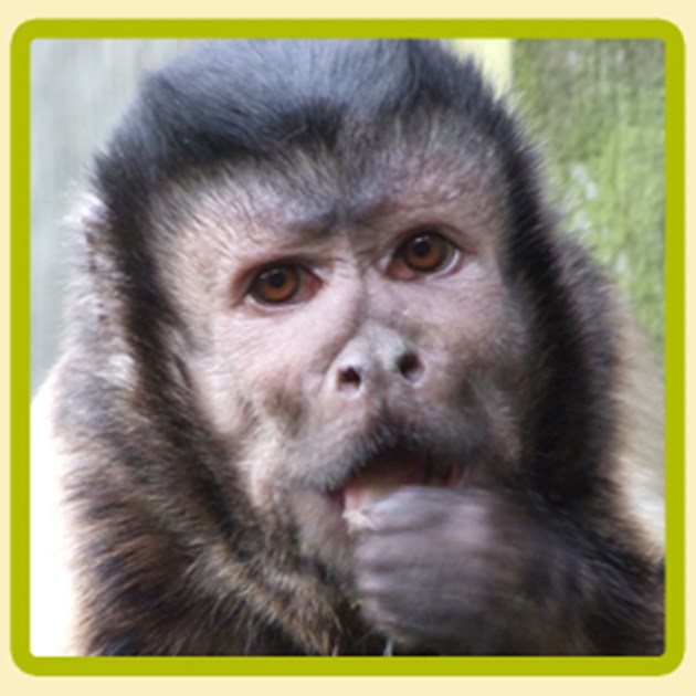 Sally Rigg is fundraising for Wild Futures