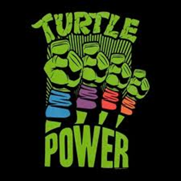 Turtle power. Кореш плакат. Заставка Power. Turtle Power заставка.