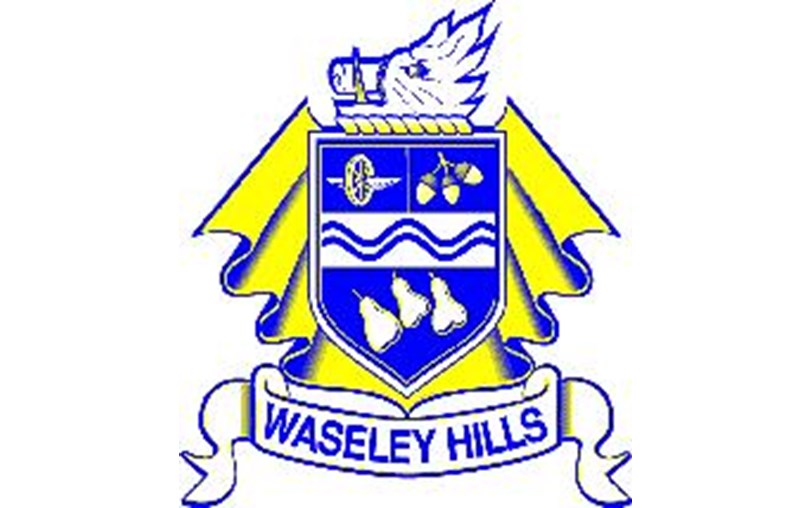 Waseley Hills High School is fundraising for Dame Kelly Holmes Trust