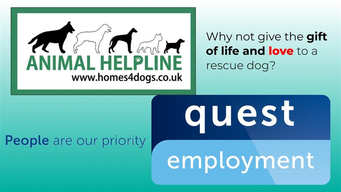 Quest Employment Peterborough is fundraising for Animal Helpline
