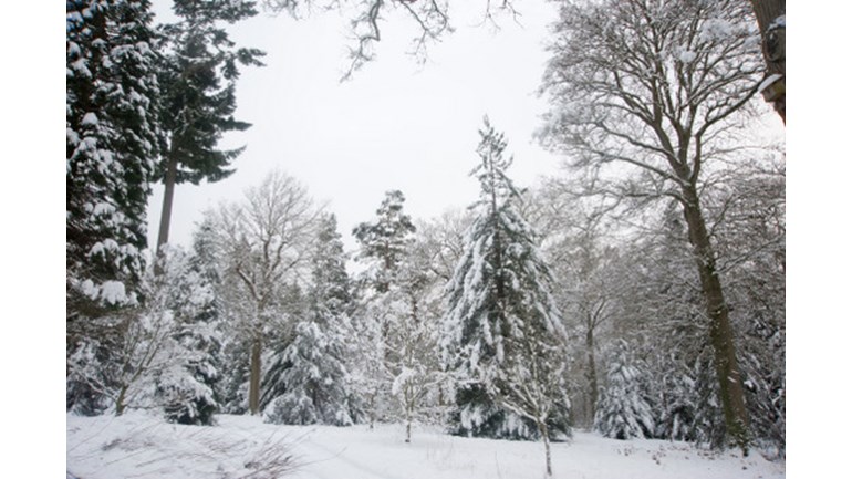 Millennium Seed Bank Save A Species Is Fundraising For Royal