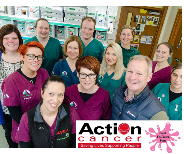 Clare Vets is fundraising for Action Cancer