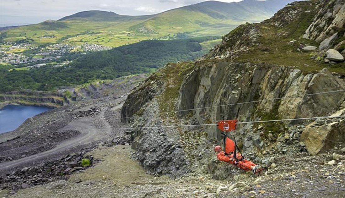 louise-stonier-is-fundraising-for-pets-foundation