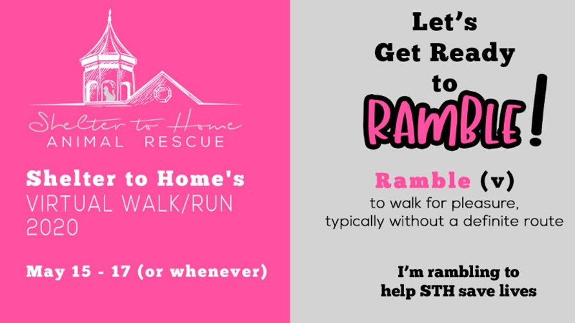 Cara Ropp is fundraising for Shelter to Home