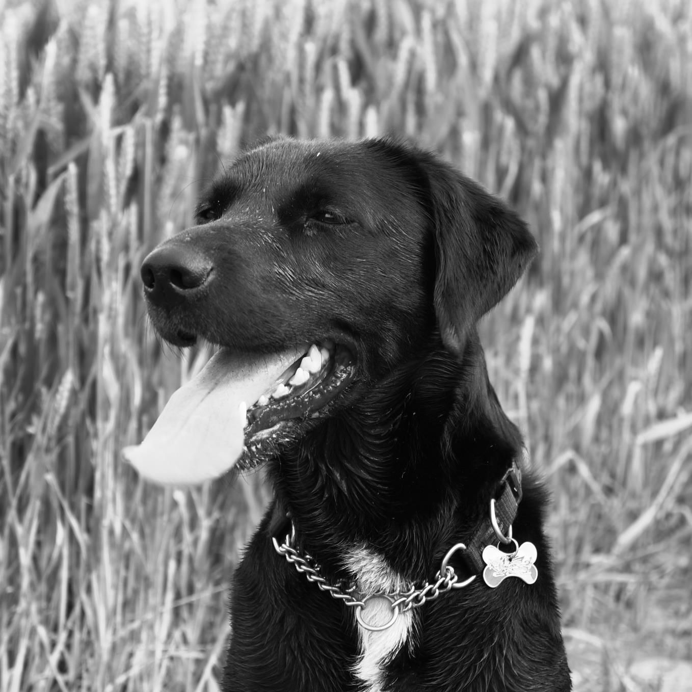 Justin Rathbone is fundraising for Cancer Research UK