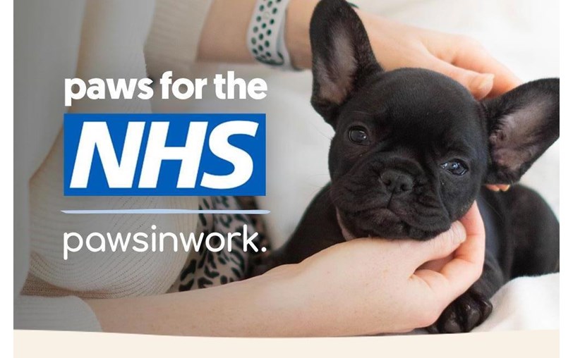 Paws in Work ‏‏‎ ‎ is fundraising for NHS Charities Together