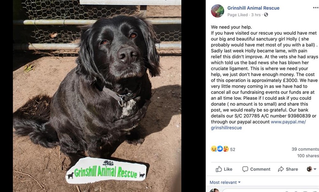 Jack Martin is fundraising for Grinshill Animal Rescue Jack Martin is fundraising for Grinshill Animal Rescue
