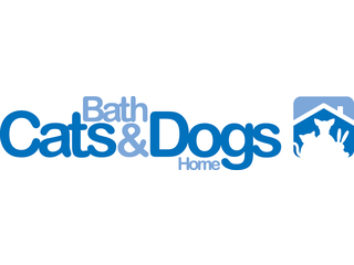 bath and cats and dogs home