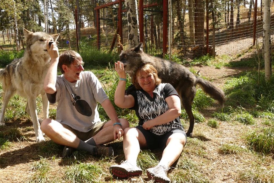 andrew-green-is-fundraising-for-scottish-spca