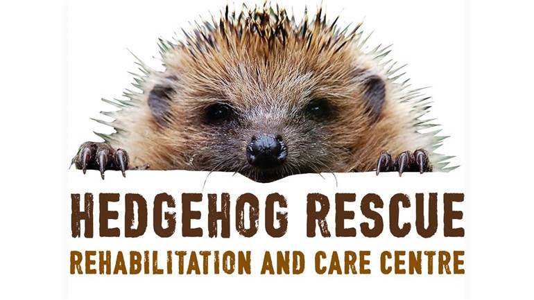 Hedgehog Rescue is fundraising for Farplace Animal Rescue Hedgehog Rescue is fundraising for Farplace Animal Rescue