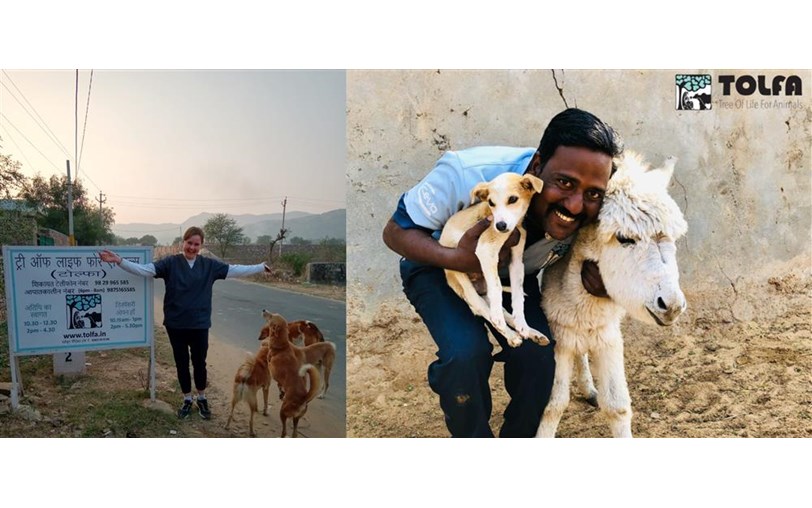 Tessa Cornell is fundraising for The Tree of Life for Animals Tessa Cornell is fundraising for The Tree of Life for Animals