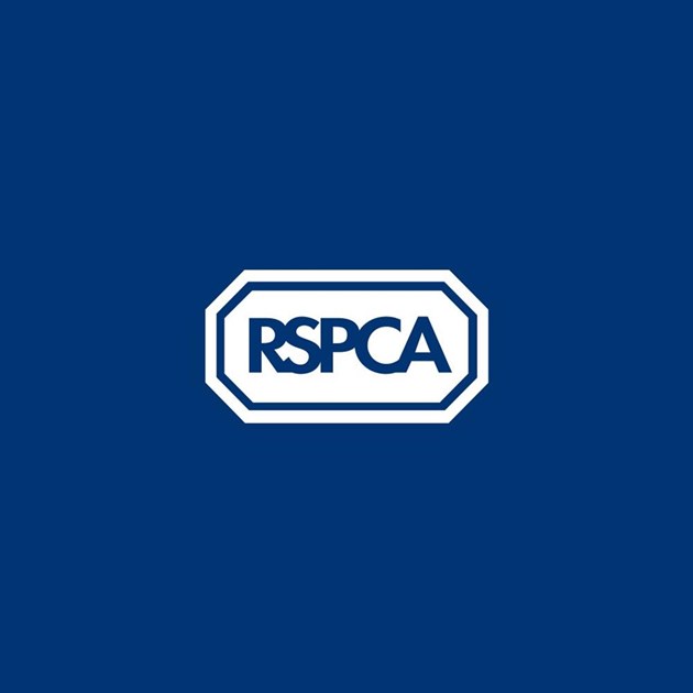 Stacey Middleton is fundraising for RSPCA (England and Wales)