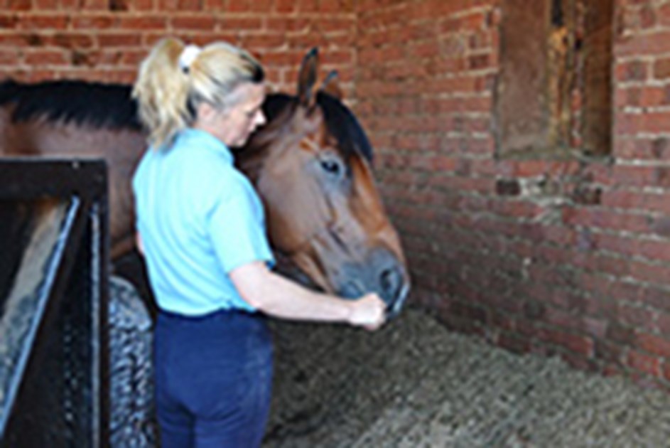 Lisa Williamson is fundraising for The Injured Jockeys Fund