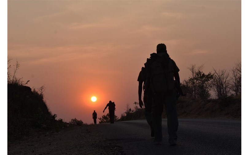 Charara Safari Area - The Tashinga Initiative is fundraising for Tusk Trust