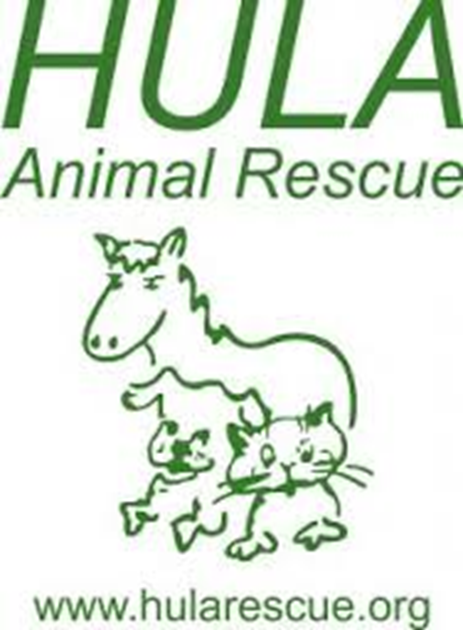 Property Charity is fundraising for Hula Animal Rescue