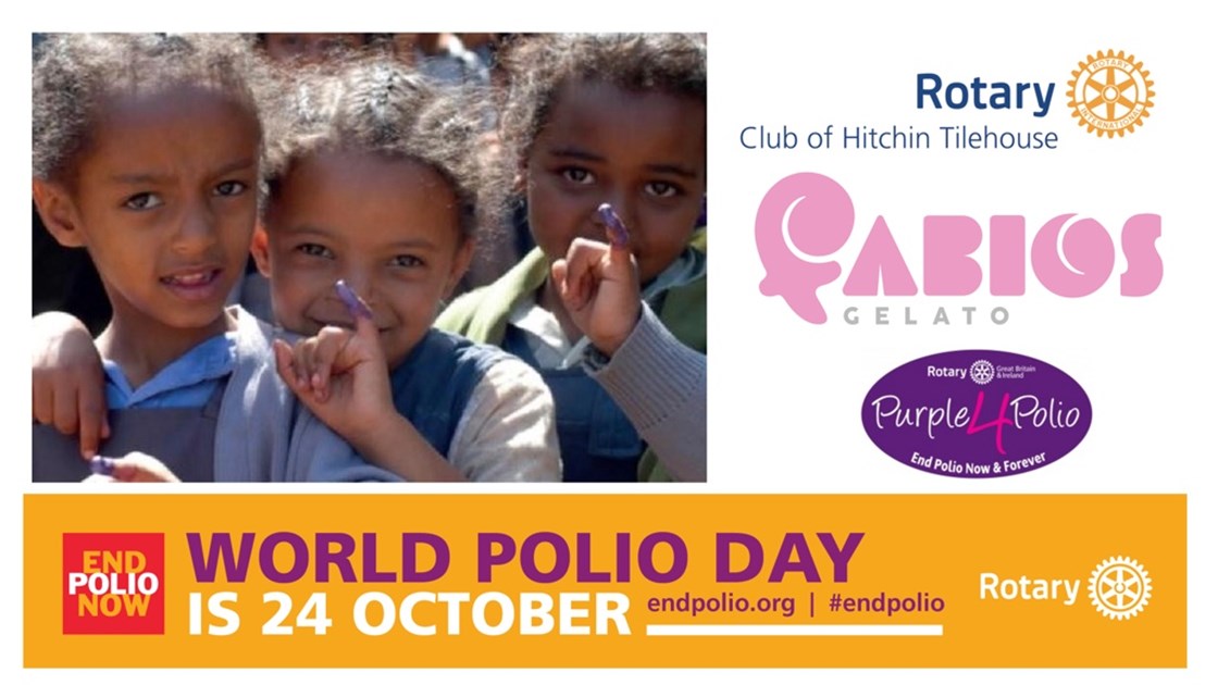 World Polio Day JustGiving