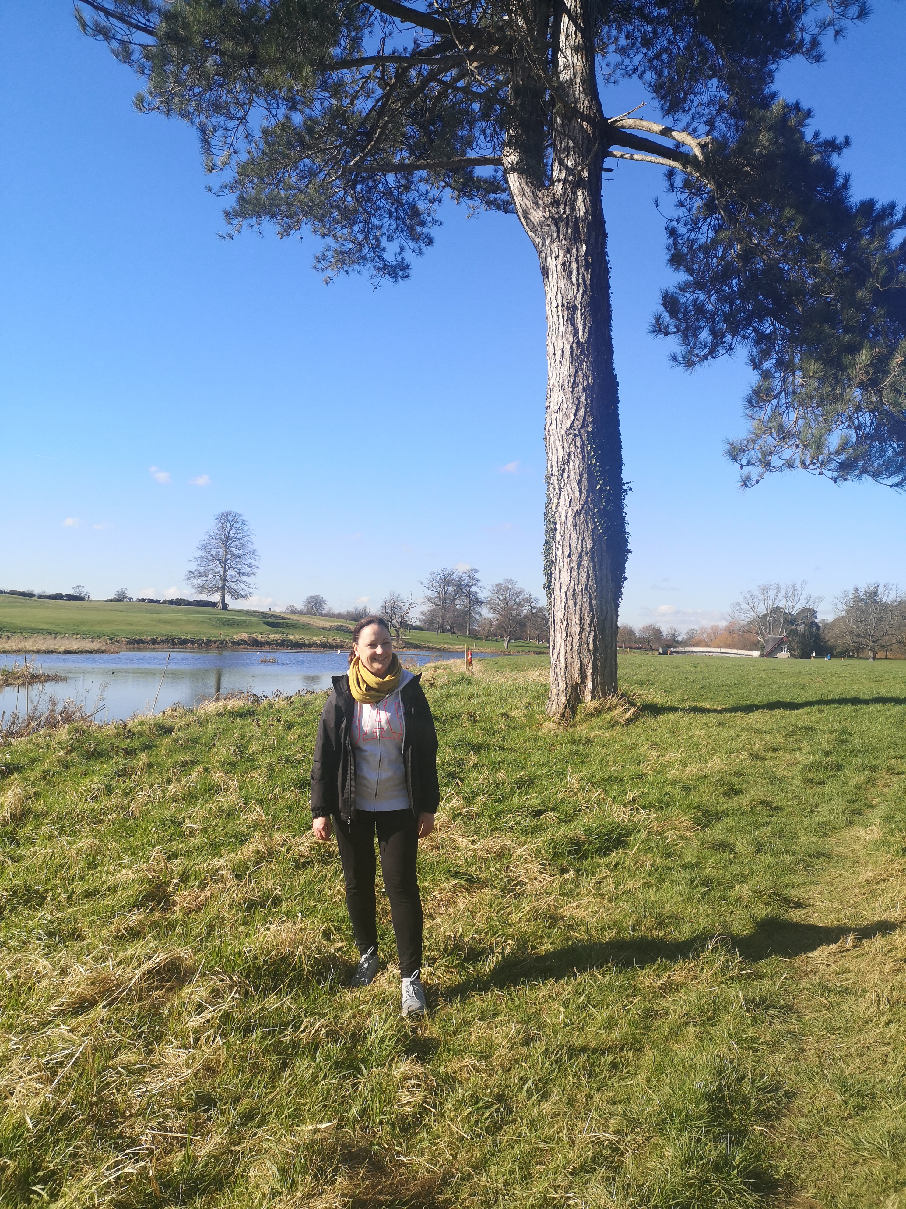 Sinead's Shine a Light