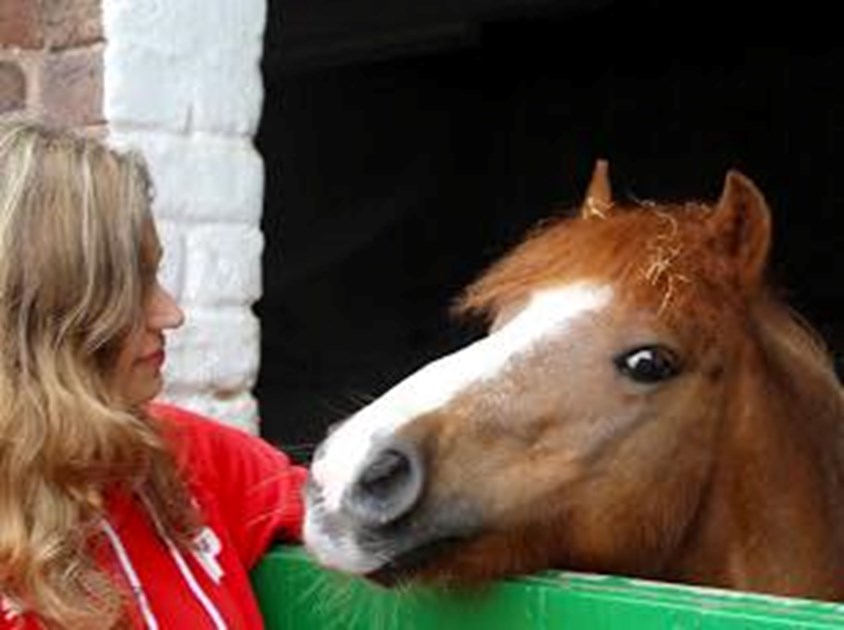 UOC Equestrian Equestrian is fundraising for HORSE SENSE WIRRAL