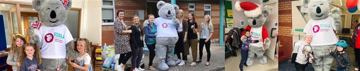 Cheshire Oaks is fundraising for Koala North West