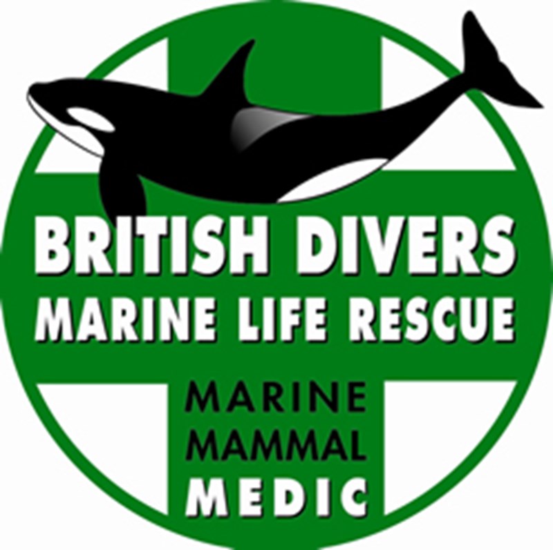 About BDMLR - British Divers Marine Life Rescue