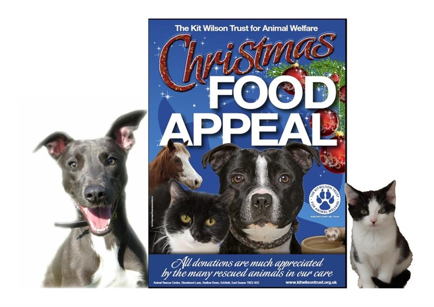 Kit Wilson Trust for Animal Welfare is fundraising for The Kit Wilson