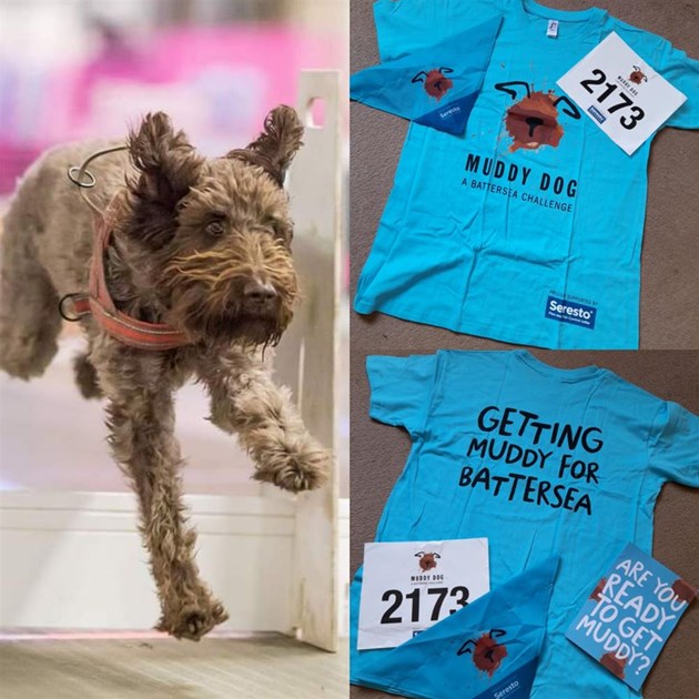 Vanessa Busby is fundraising for Battersea