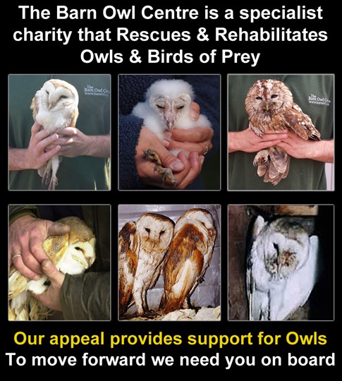 Barn Owl Centre Appeal Page Is Fundraising For Barn Owl Centre