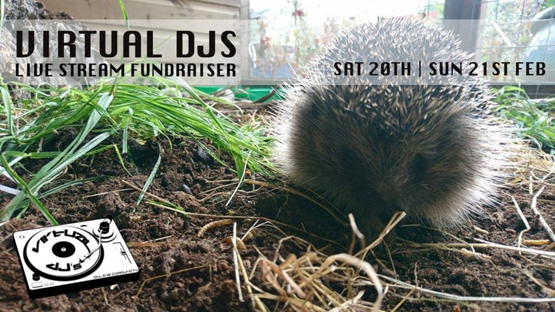 Sarah Curtis is fundraising for Wild Things Rescue