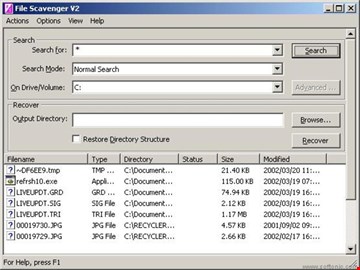 File scavenger 4.1 license key