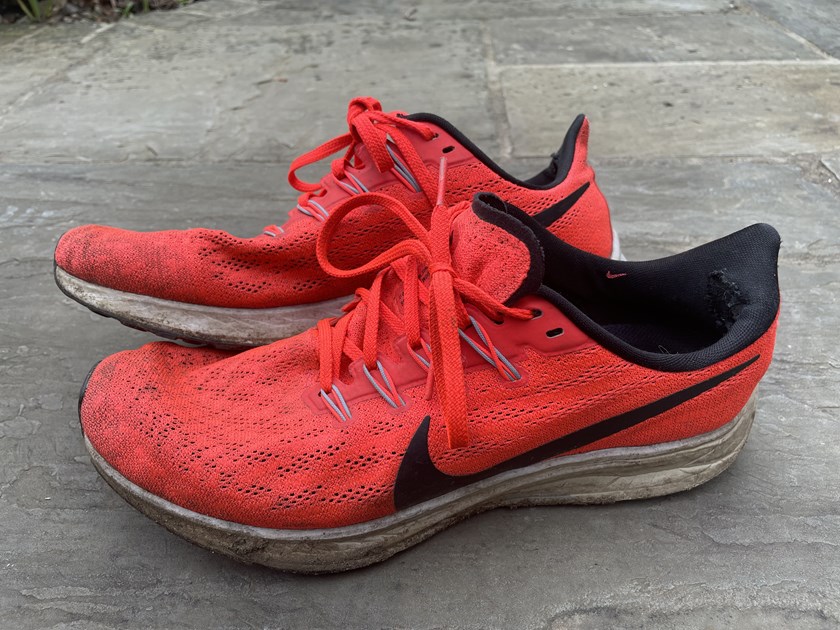 marc ruddle is fundraising for Cure CLCN4