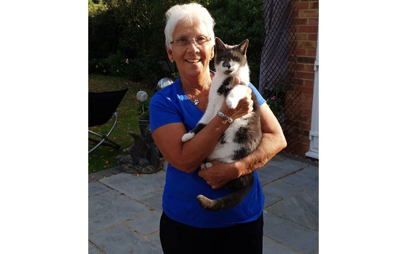 Rayleigh Cats Protection is fundraising for Cats Protection